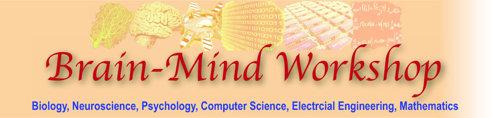 Brain-Mind Workshop Banner